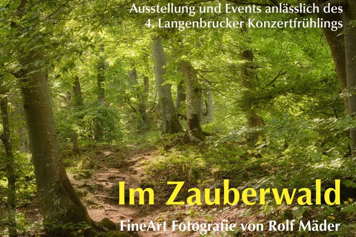 Web zauberwald