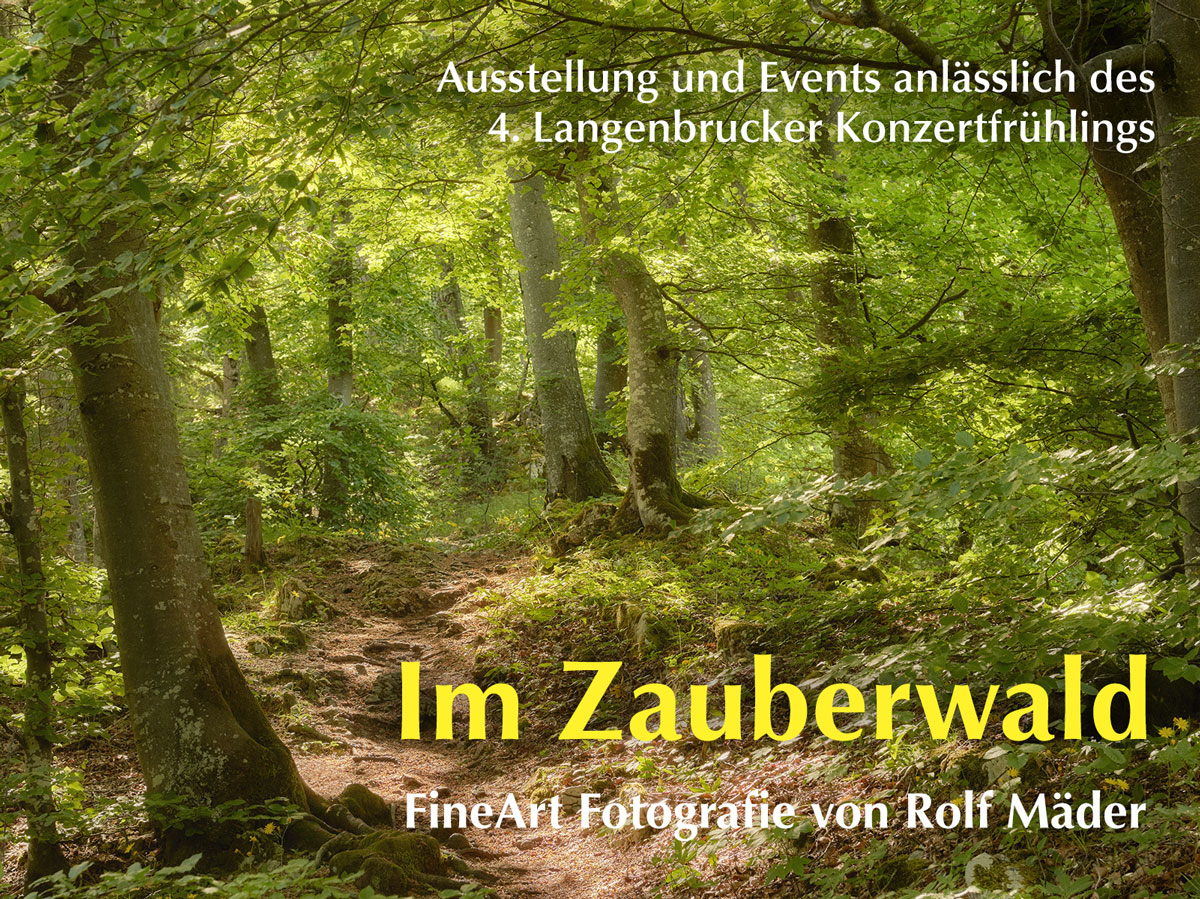 Web zauberwald
