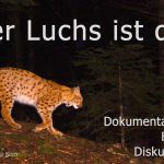 Luchs web