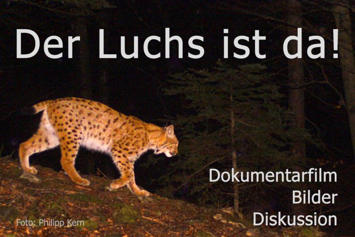 Luchs web