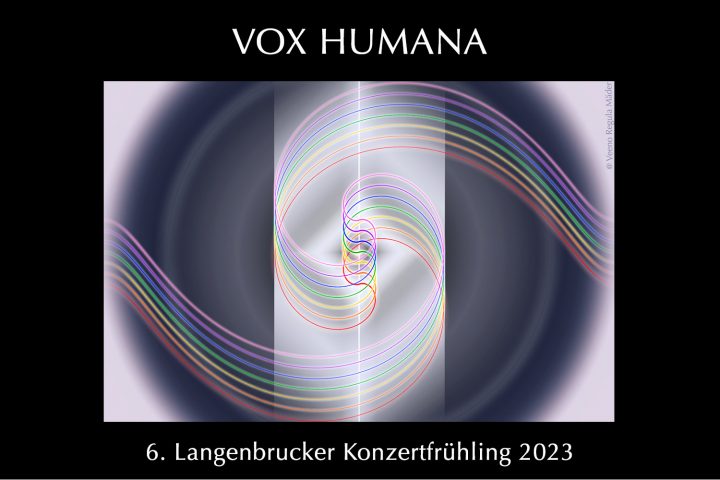 Vox2 Web
