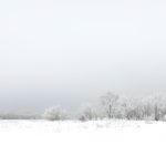 Winterreisen