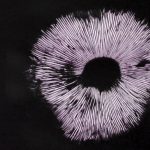 Web Mushroom1